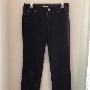 Banana republic purple corduroys